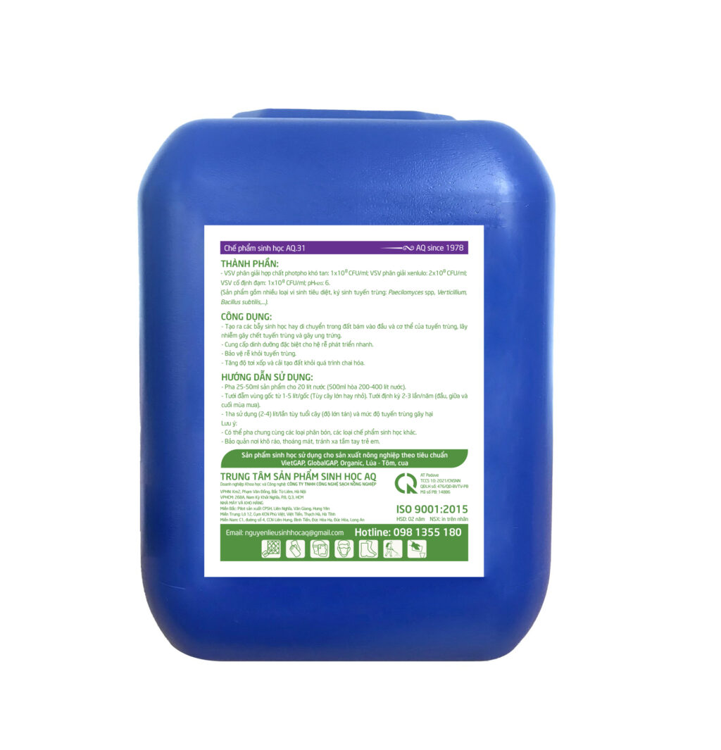 AQ 31 2