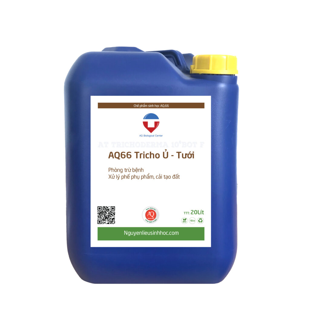 AQ 66