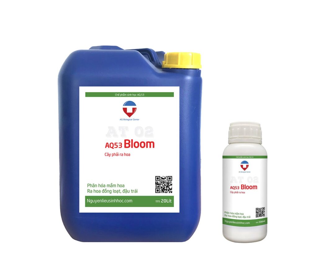 Phân bón siêu ra hoa AQ53 Bloom ra hoa đều, đậu trái to
