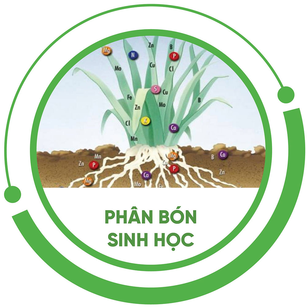 Phân bón sinh học