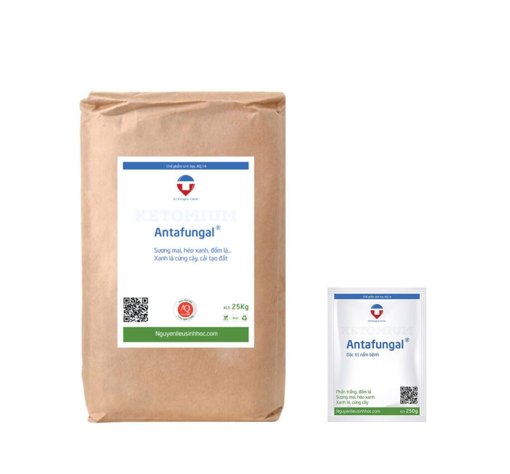 Thuốc đặc trị bệnh sương mai, đốm lá, héo xanh Antafungal