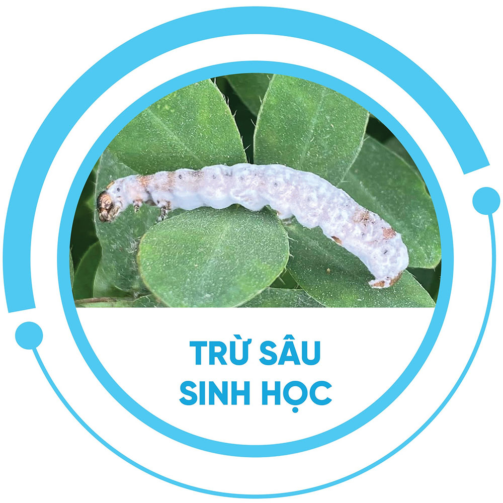Công ty TNHH Trung tâm sản phẩm sinh học AQ