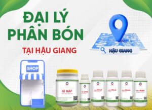 Đại lý phân bón tại Hậu Giang uy tín, giá tốt, sp chất lượng