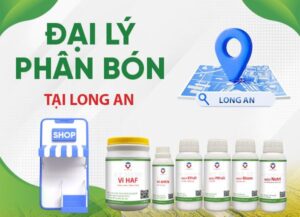 Đại lý phân bón tại Long An uy tín, chất lượng, giá tốt